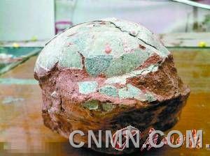 恐龙蛋化石随处可见